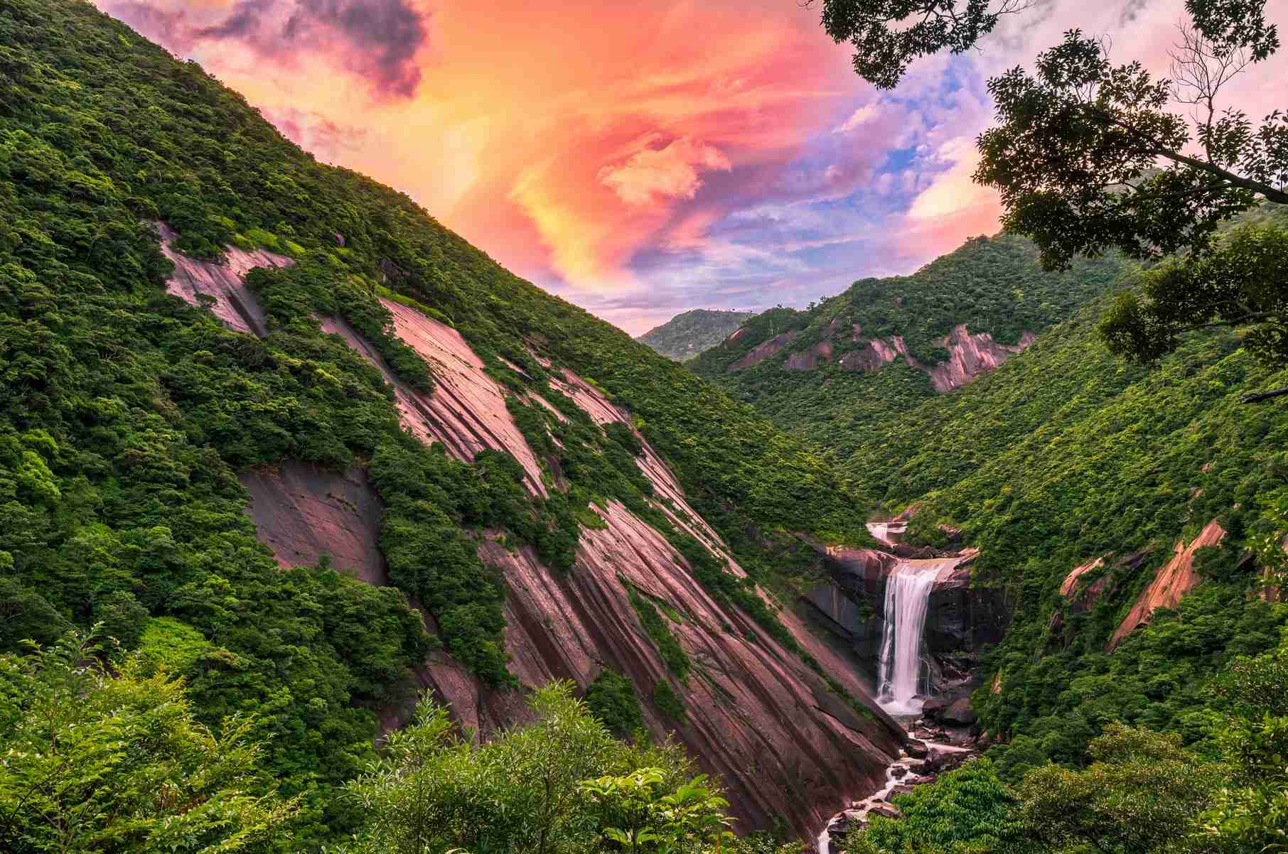 4 Di Sản Thiên Nhiên Đẹp Ngỡ Ngàng Tại Nhật Bản