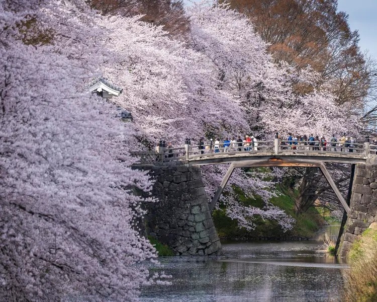  Dự báo thời tiết Nhật Bản – ngày 6/4