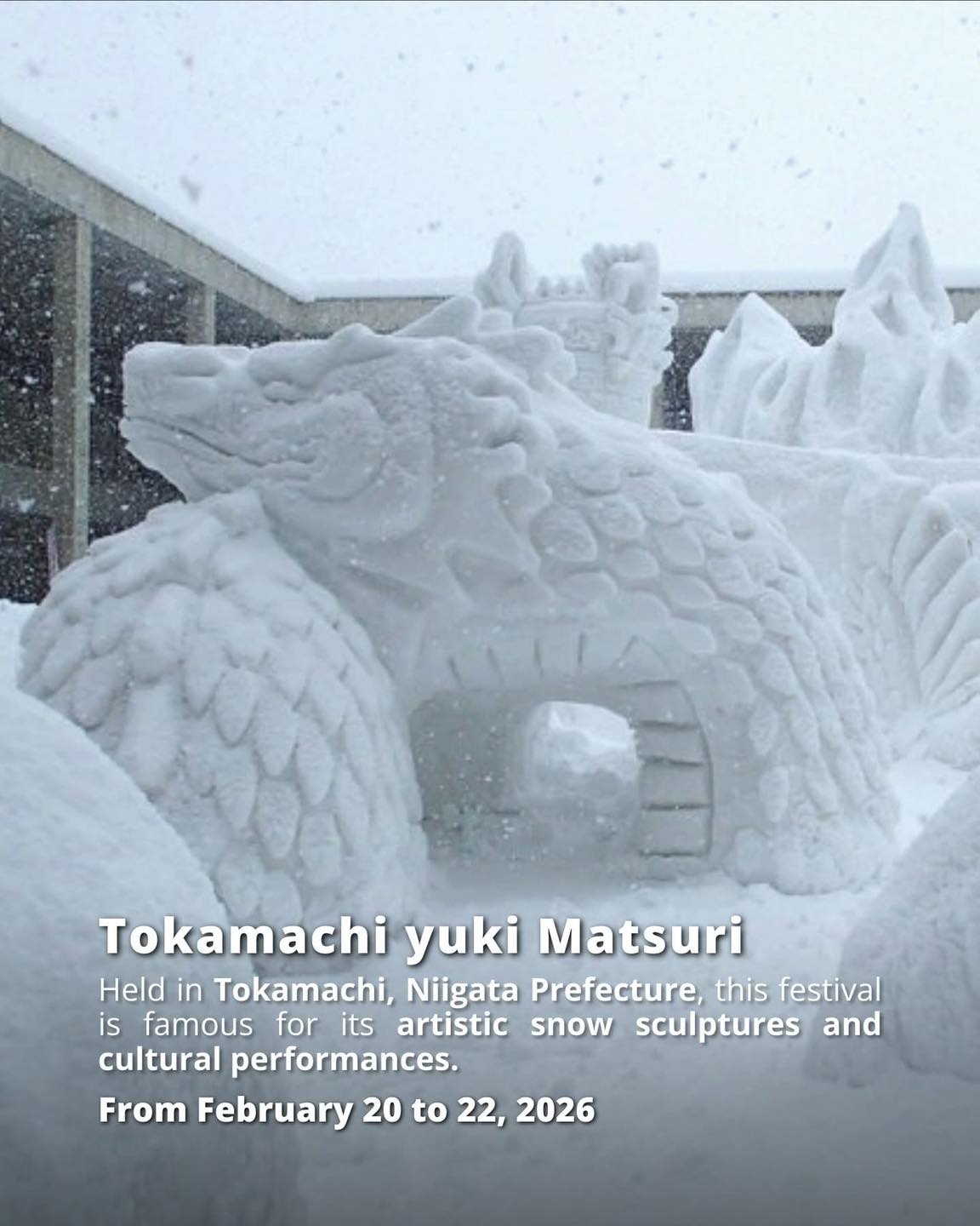 TOP 8 LỄ HỘI MÙA ĐÔNG ĐẸP NHẤT NHẬT BẢN 