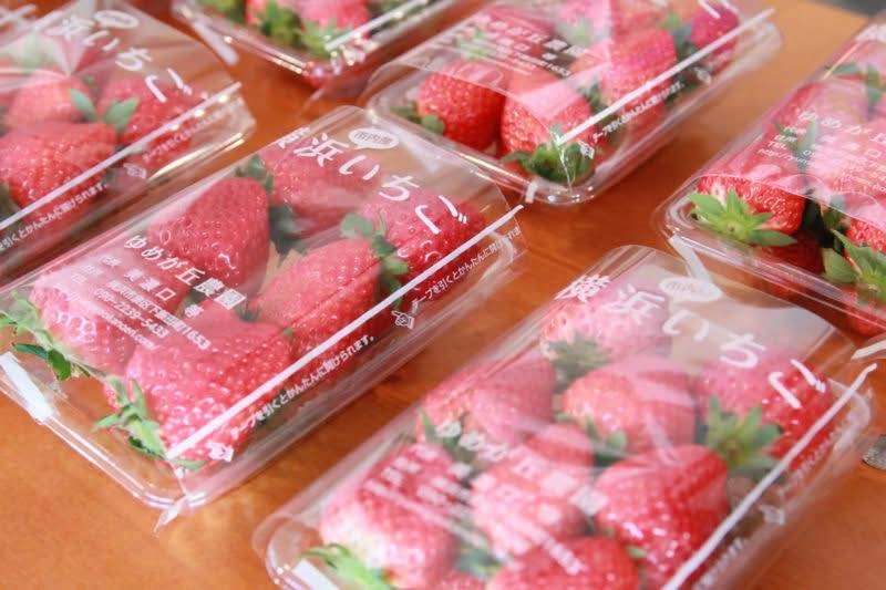 YOKOHAMA STRAWBERRY FESTIVAL 2026 | THIÊN ĐƯỜNG DÂU TÂY GIỮA LÒNG NHẬT BẢN