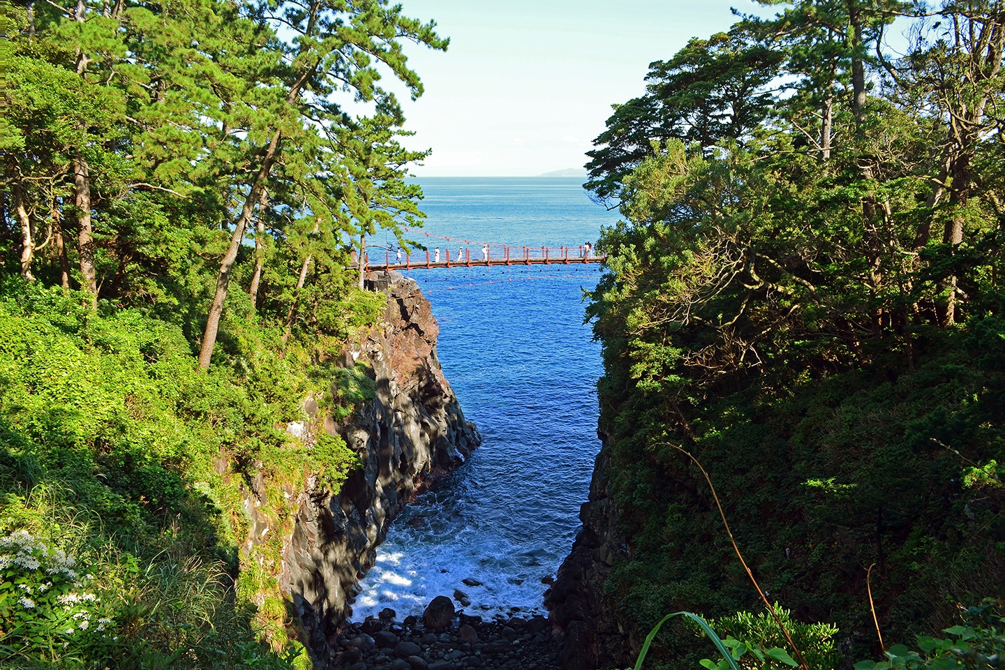 Day trip Tokyo → Izu 1 ngày | Đi rồi mới hiểu vì sao dân Tokyo mê chỗ này!