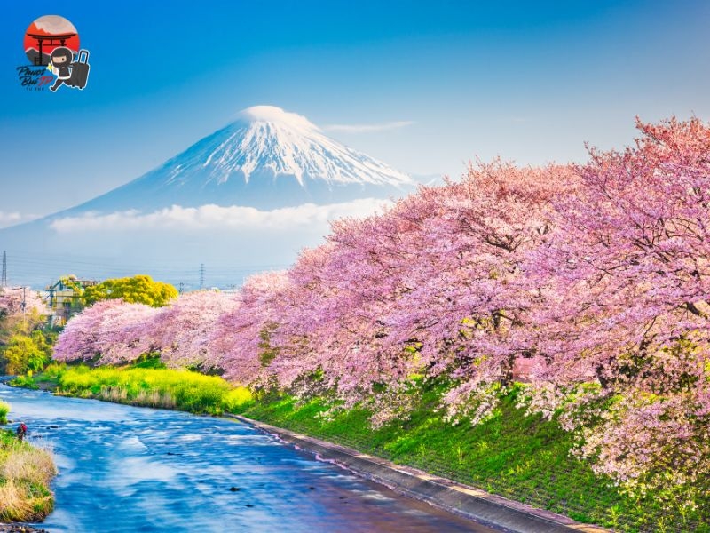 Du lịch Nhật Bản Tự Túc: Lịch trình 7 ngày 6 đêm