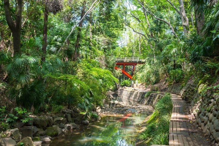 Hidden gems Tokyo (Phần 1) – Đi Nhật theo một cách rất khác