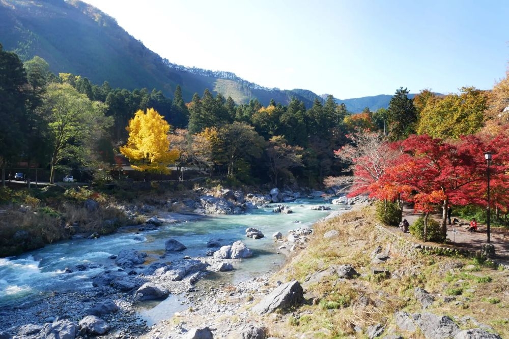 Hidden gems Tokyo (Phần 2) – Càng đi sâu càng thấy Nhật Bản đẹp hơn