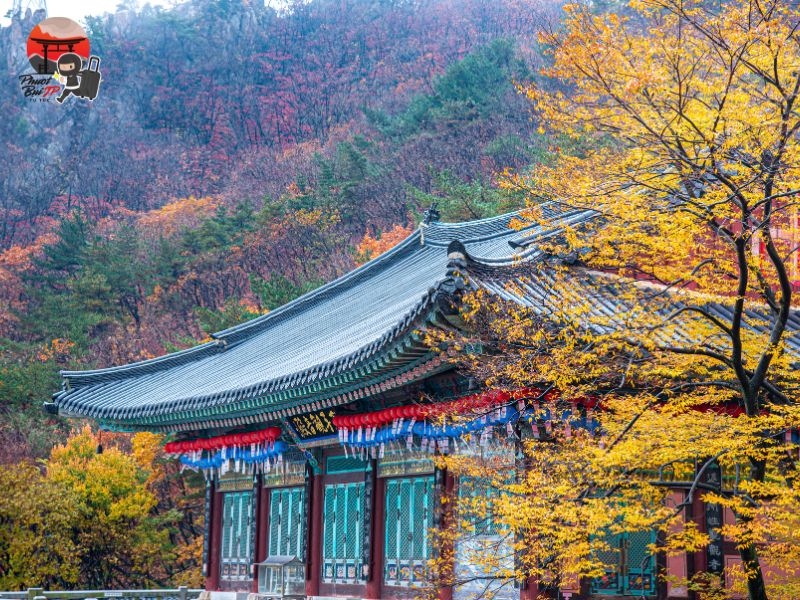 Khám phá Di sản UNESCO Hàn Quốc: 11 điểm đến không thể bỏ lỡ