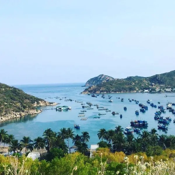 Lịch trình 3 ngày 2 đêm khám phá Vĩnh Hy - Ninh Thuận từ thành phố Hồ Chí Minh 