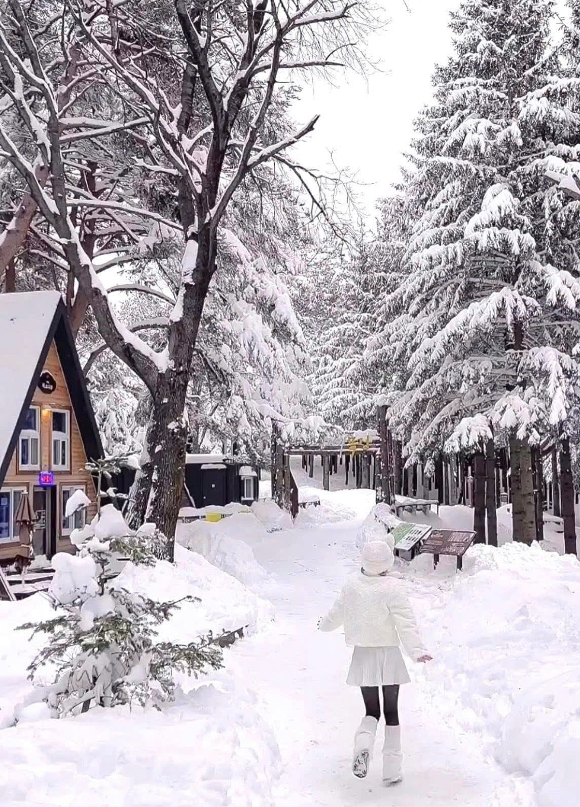 Mini Tour Một ngày ngắm tuyết đẹp nhất Pyeongchang từ Seoul 