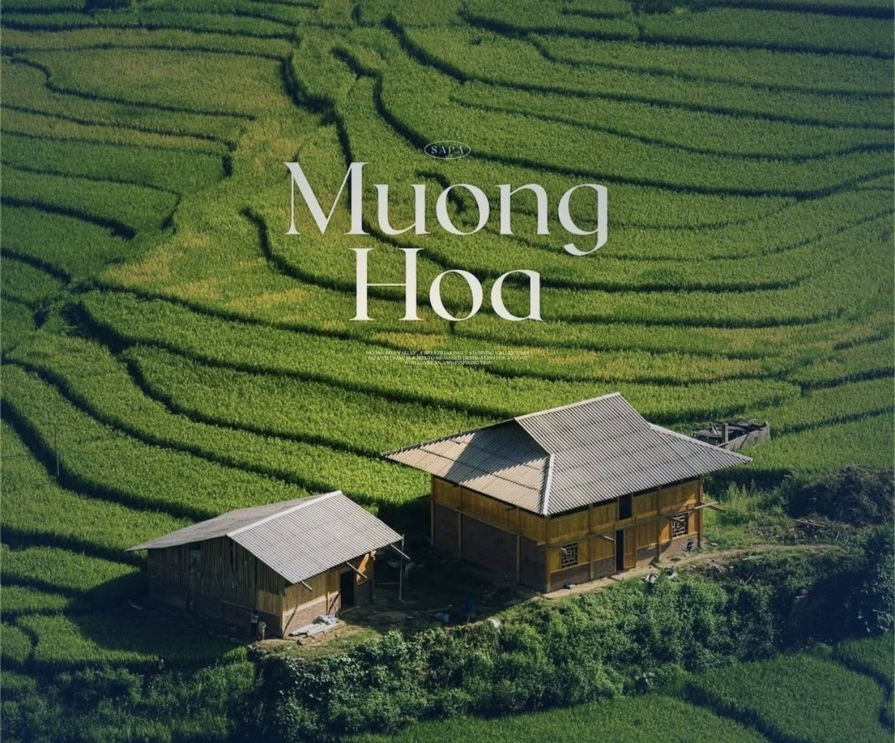 Thung lũng Mường Hoa – kiệt tác thiên nhiên giữa lòng Sapa