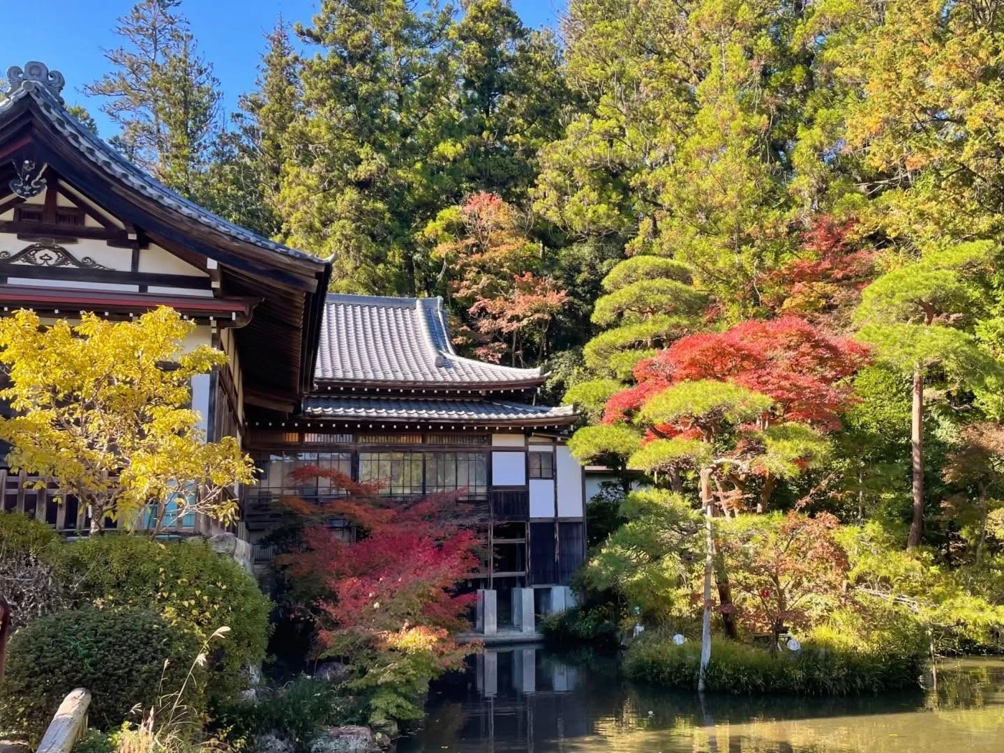 Top 3 điểm đến gần Tokyo ít người biết nhưng rất đáng ghé thăm