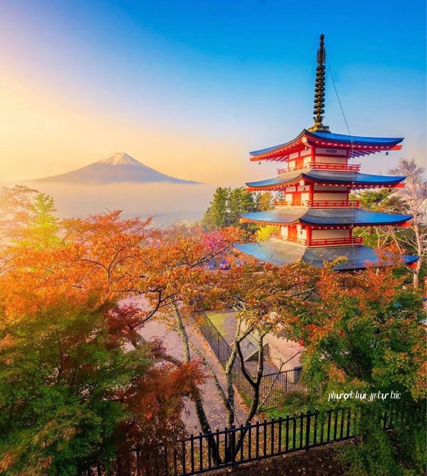 TOUR MINI FUJI MÙA THU 