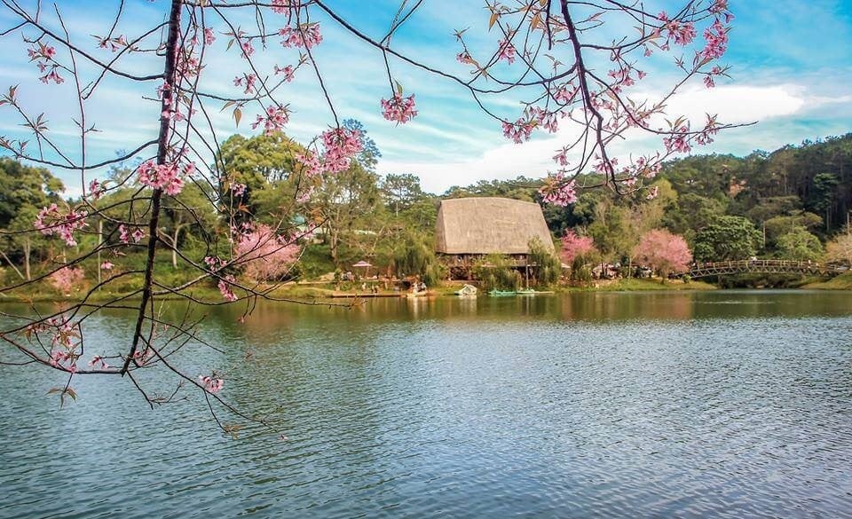 MĂNG ĐEN – LINH HỒN NGUYÊN SƠ CỦA TÂY NGUYÊN