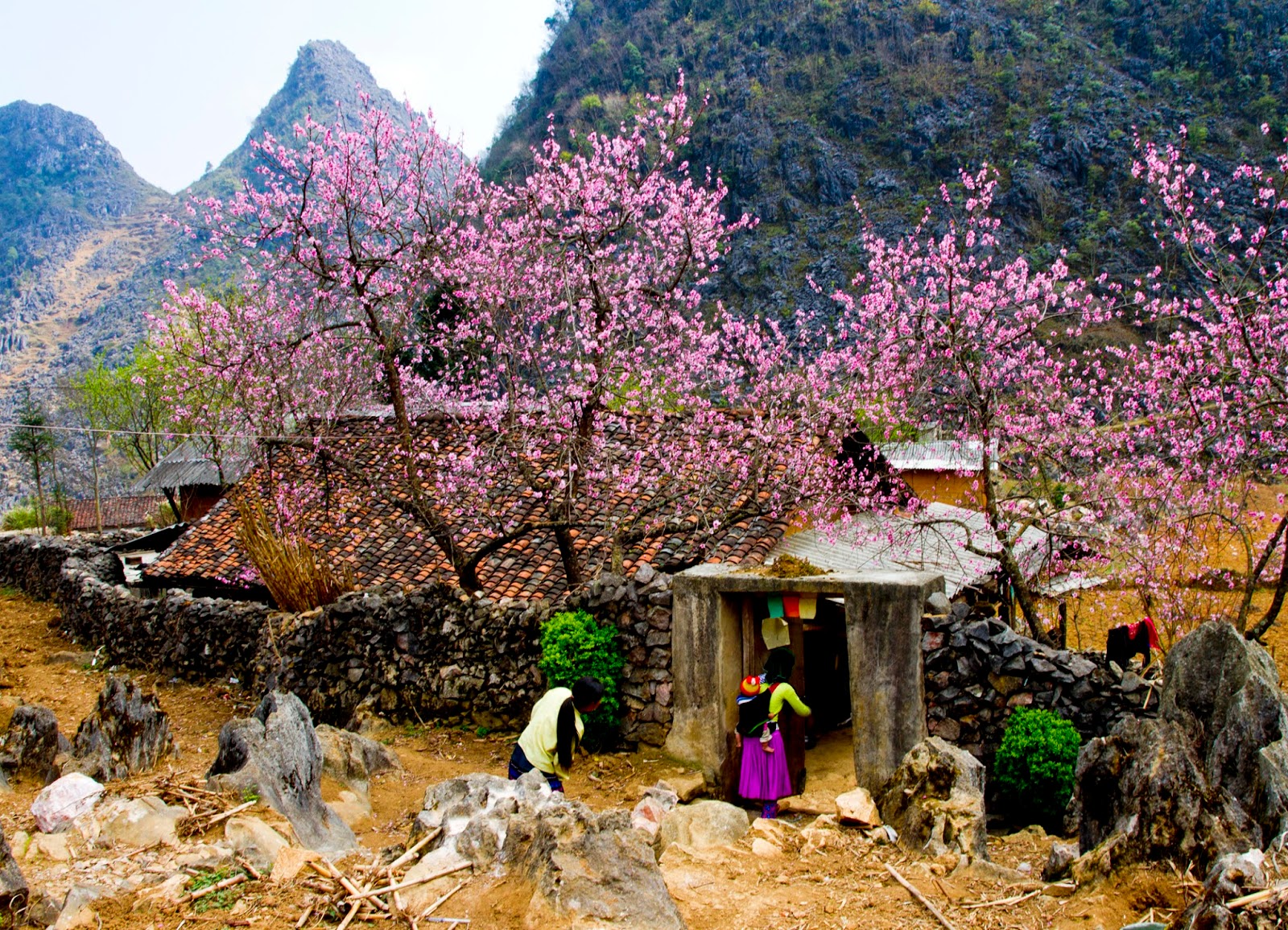 Best time to visit Vietnam