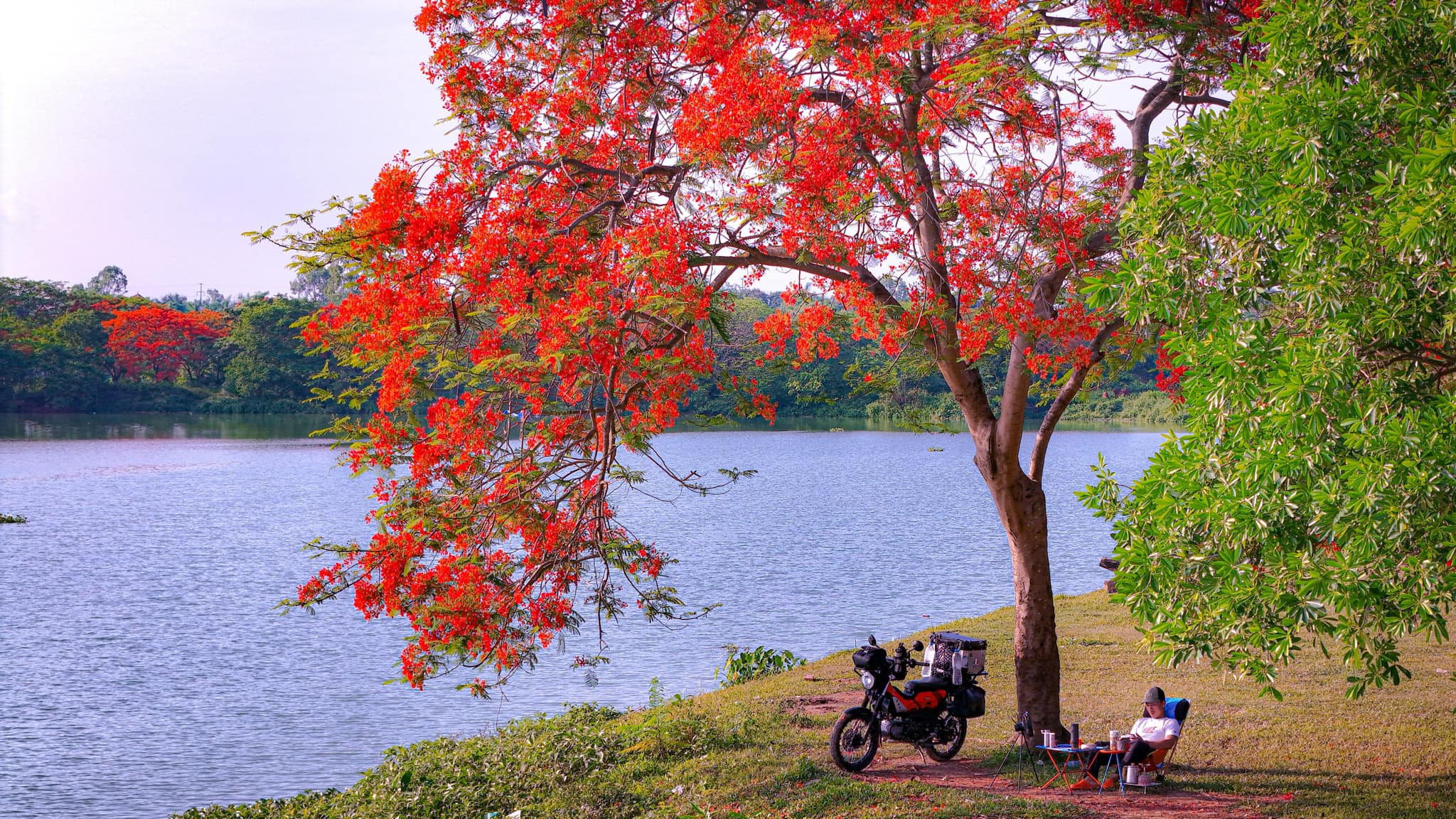 Vietnam in summer