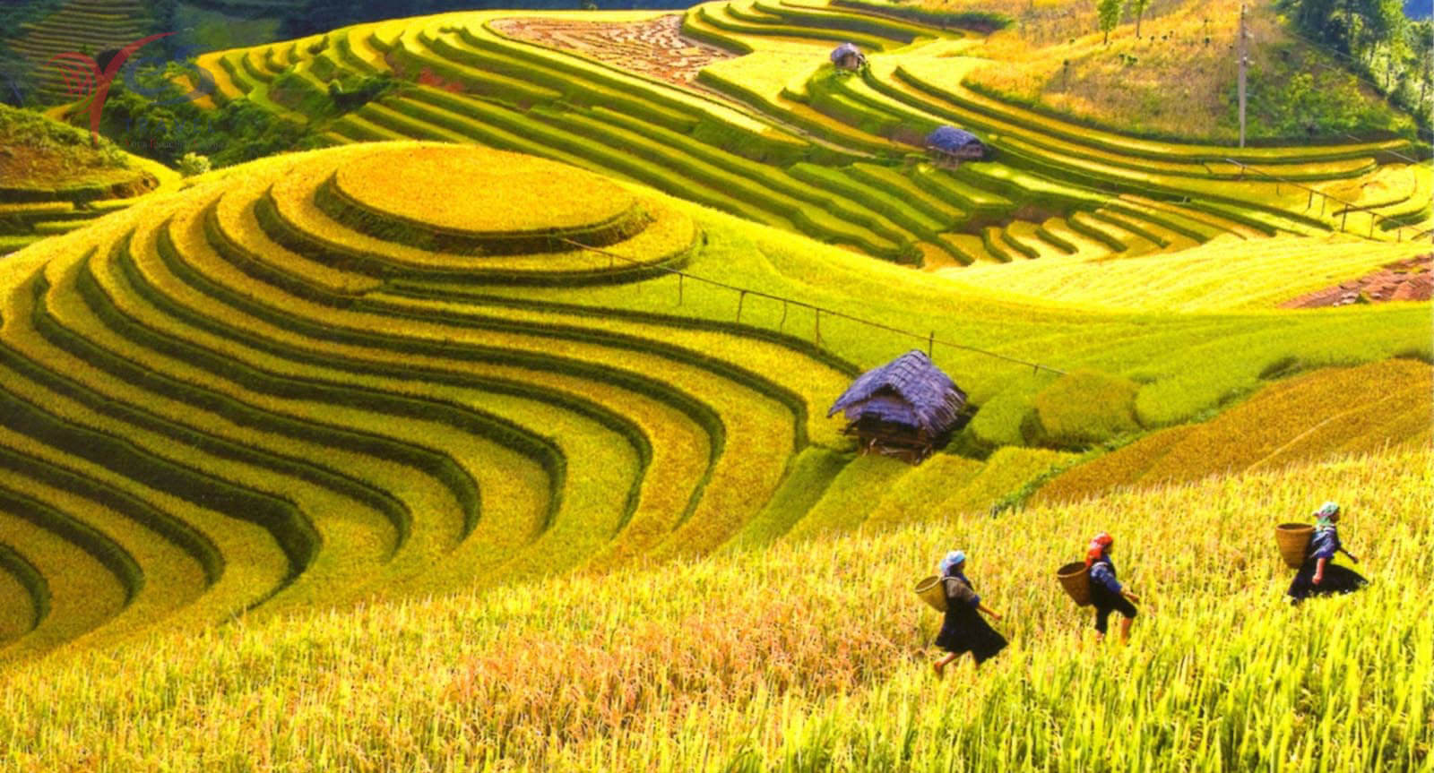 Vietnam in autumn